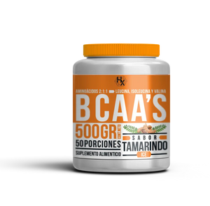 BCAA Aminoacidos Holix 500gr