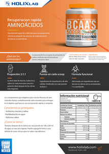 BCAA Aminoacidos Holix 500gr