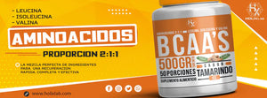 BCAA Aminoacidos Holix 500gr